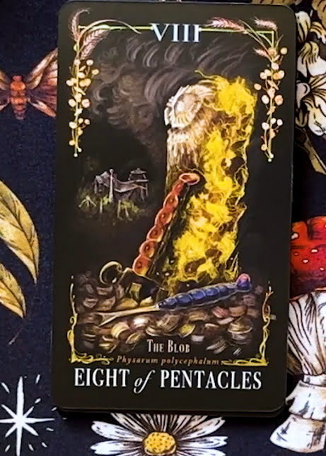 Midnight Magic: A Tarot Deck of Mushrooms